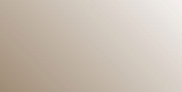 BRONZE TINT Bronze Tint